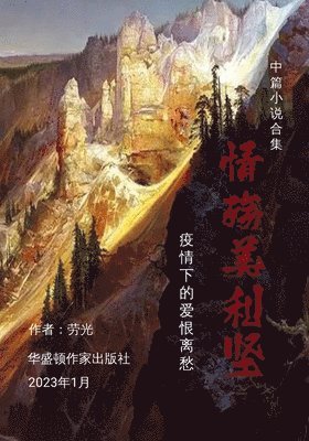 Shixin Li - 情殇美利坚, Häftad