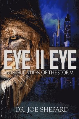 bokomslag Eye II Eye: Miseducation of the Storm