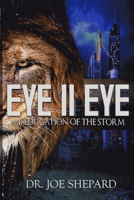 Eye II Eye: Miseducation of the Storm