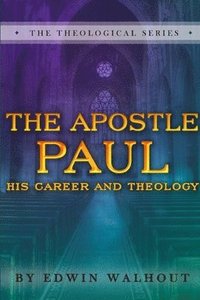 bokomslag THE Apostle Paul: A Brief Sketch of His Career and Theology