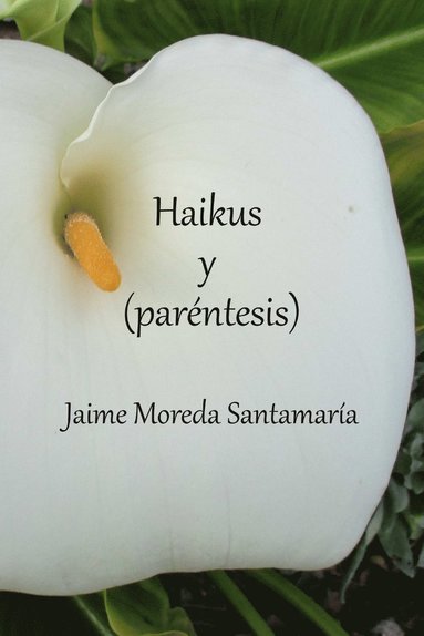 bokomslag Haikus y (parntesis)