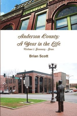 bokomslag Anderson County