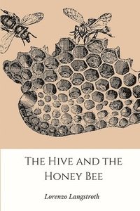 bokomslag Hive and the Honey-Bee
