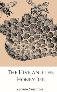 bokomslag Hive and the Honey-Bee