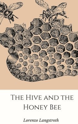 bokomslag Hive and the Honey-Bee