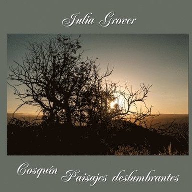 Julia Grover - Cosquin Paisajes Deslumbrantes, Häftad