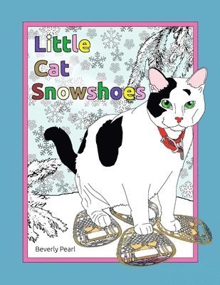 Little Cat Snowshoes 1