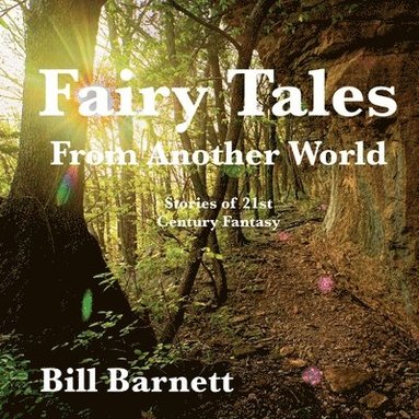 bokomslag Fairy Tales From Another World