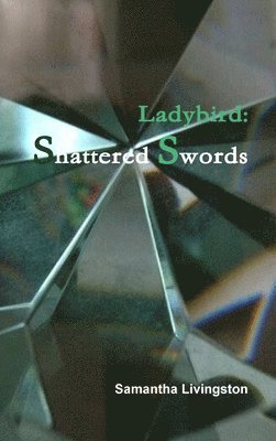 Ladybird: Shattered Swords 1