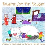 bokomslag Bedtime for Mr. Badger