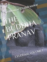 bokomslag The Buddha Pranav: Celestial Volume 1