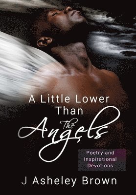 J. Asheley Brown, J Asheley Brown - Little Lower Than the Angels, Inbunden