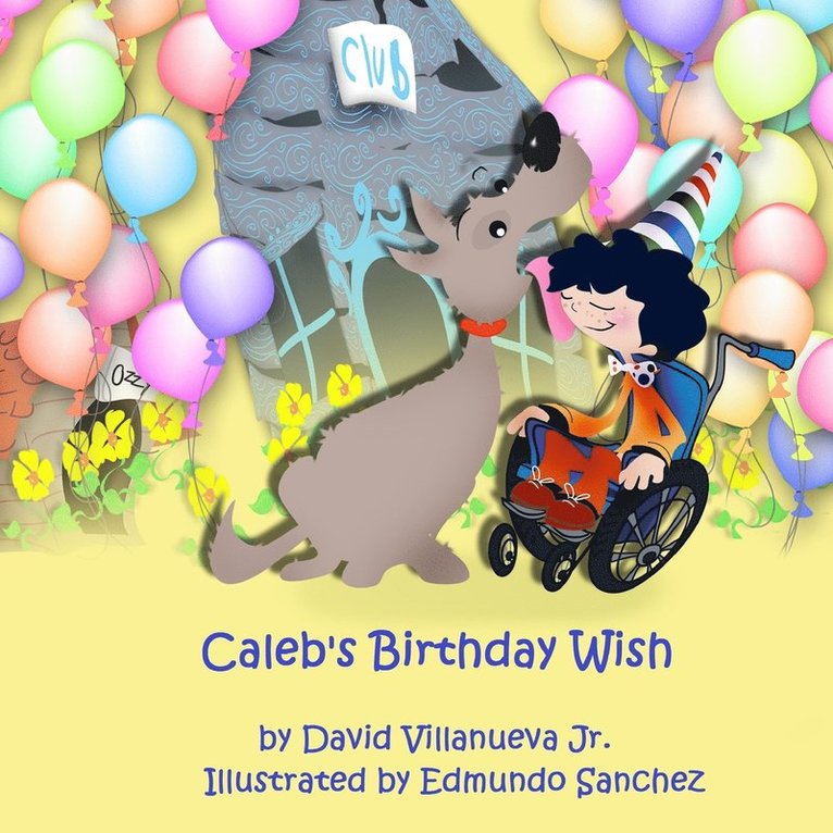 David Villanueva Jr., Jr. Villanueva, David - Caleb's Birthday Wish, Häftad