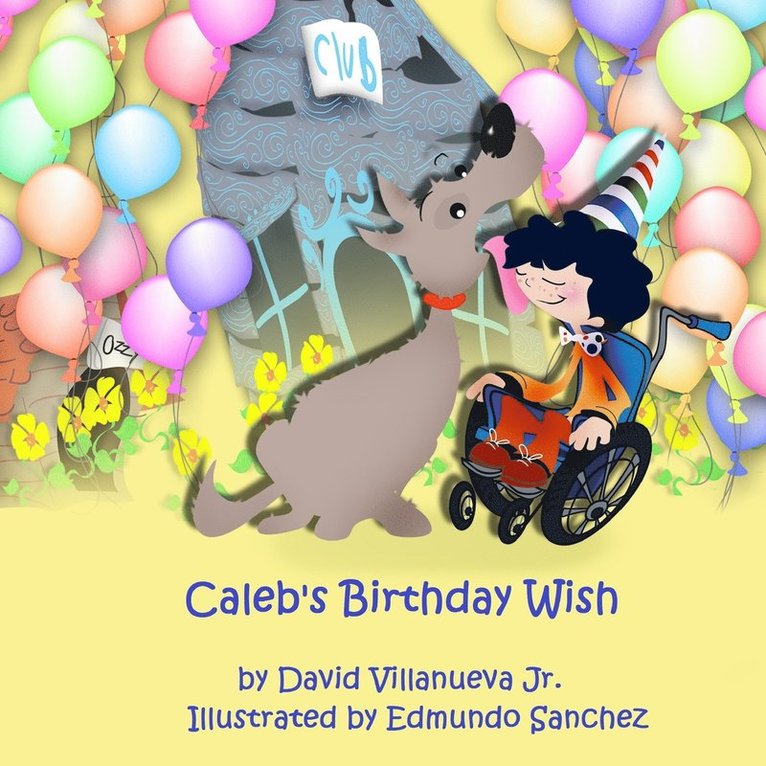 Caleb's Birthday Wish 1