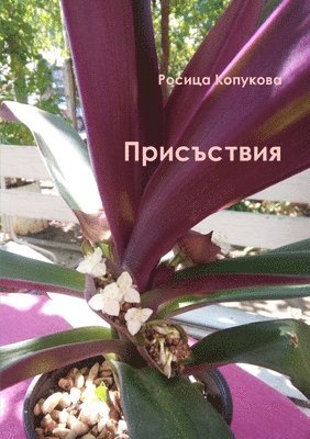 Росица Копукова, &#1050;&#1086;&#1087;&#1091;&#1082;&#108, ¿¿¿¿¿¿ ¿¿¿¿¿¿¿¿ - Присъствия, Häftad