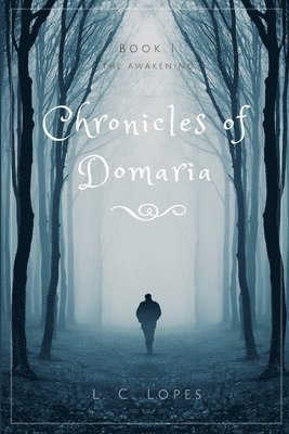 Chronicles of Domaria - Book I - The Awakening 1