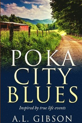 bokomslag Poka City Blues