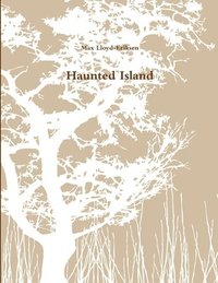 bokomslag Haunted Island