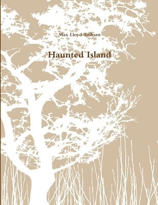 bokomslag Haunted Island