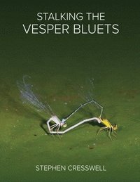 bokomslag Stalking the Vesper Bluets