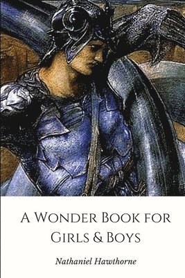 bokomslag Wonder Book for Girls & Boys