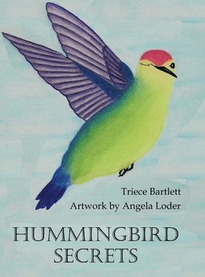 bokomslag Hummingbird Secrets