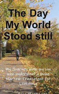 bokomslag Day My World Stood Still