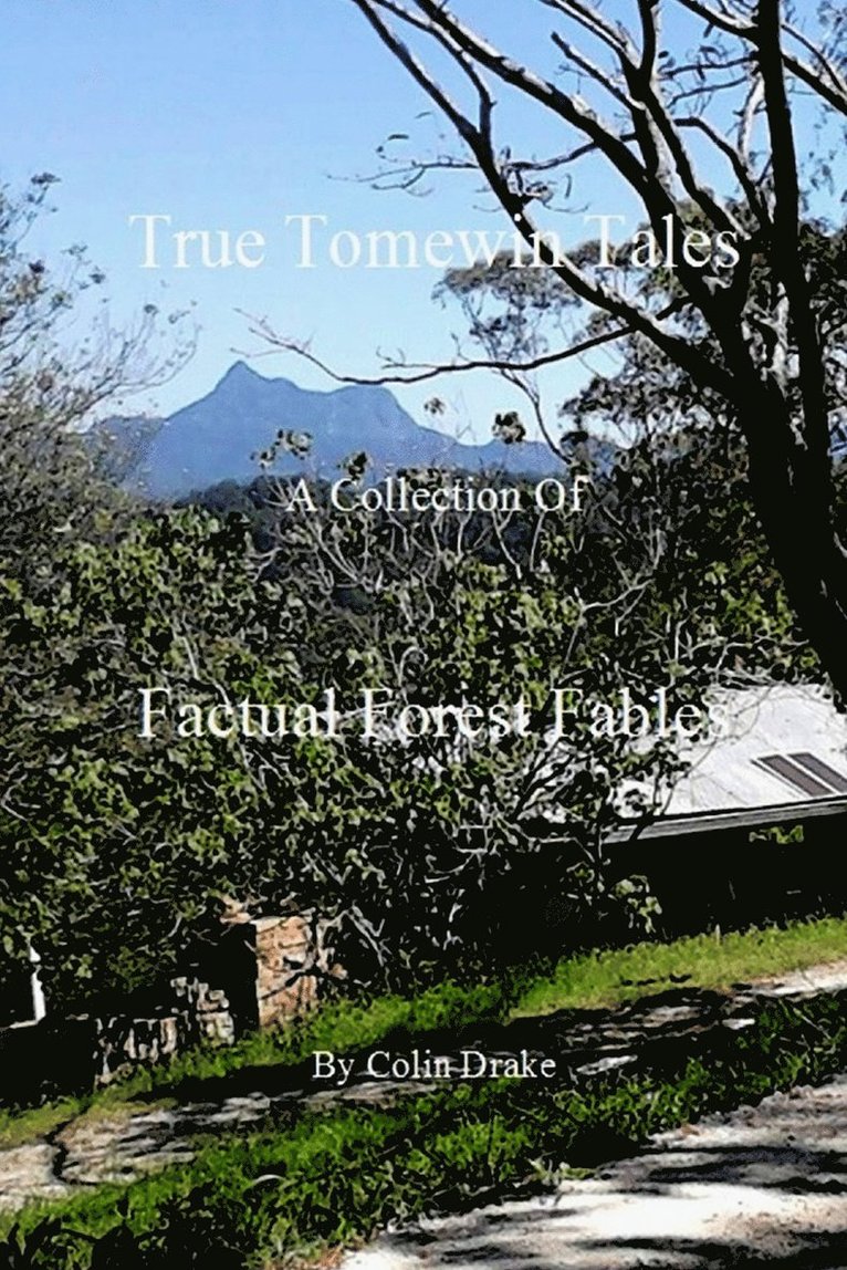 True Tomewin Tales 1