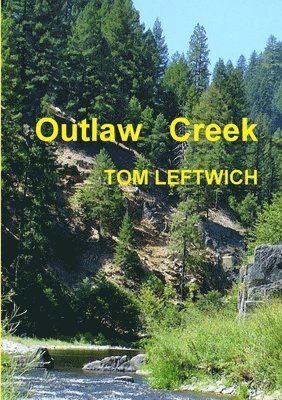 bokomslag Outlaw Creek