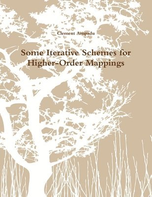 bokomslag Some Iterative Schemes for Higher-Order Mappings