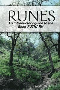 bokomslag Runes: an Introductory Guide to the Elder Futhark