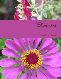 bokomslag Bloomers