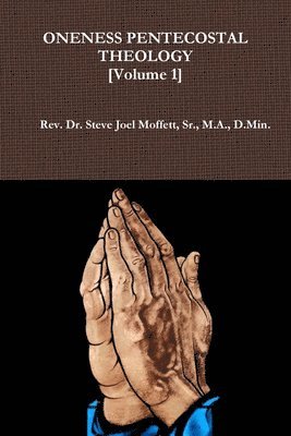 bokomslag Oneness Pentecostal Theology: Volume 1