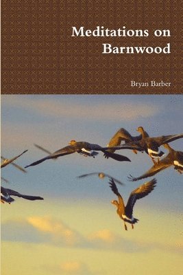 bokomslag Meditations on Barnwood