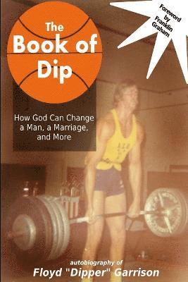 bokomslag Book of Dip
