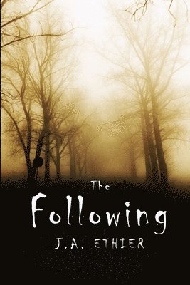 J. A. Ethier, J. a. Ethier - Following, Häftad