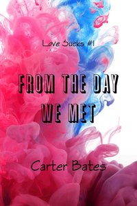 bokomslag From the Day We Met (Love Sucks #1)