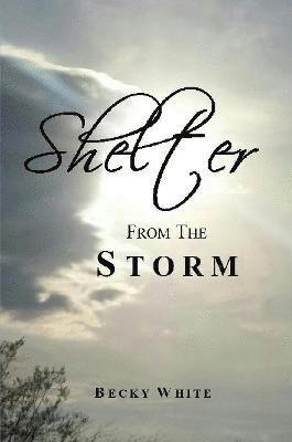 Shelter from the Storm 1