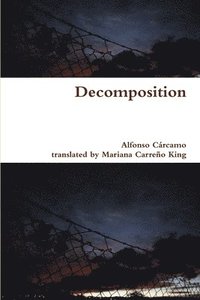bokomslag Decomposition