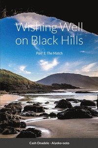 bokomslag Wishing Well on Black Hills