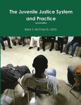 bokomslag Juvenile Justice System and Practice