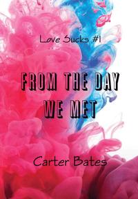 bokomslag From the Day We Met (Love Sucks #1) [Hardcover]