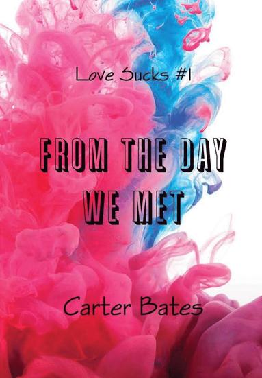 bokomslag From the Day We Met (Love Sucks #1) [Hardcover]