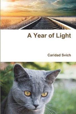 A Year of Light 1