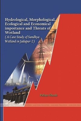 bokomslag Hydrological, Morphological, Ecological and Economical important and Threats of Wetland (A Case Study of Sandhya Wetland in Jadupur-2)