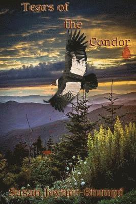 bokomslag Tears of the Condor