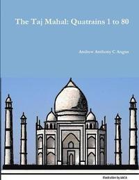 bokomslag The Taj Mahal