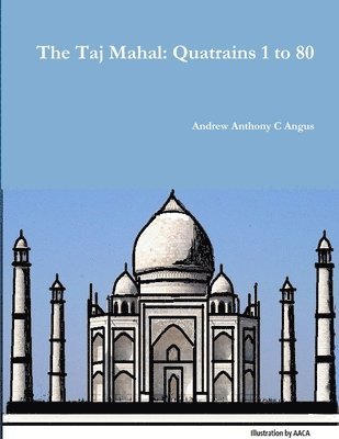 bokomslag Taj Mahal
