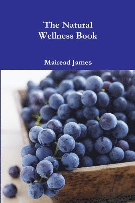 bokomslag The Natural Wellness Book