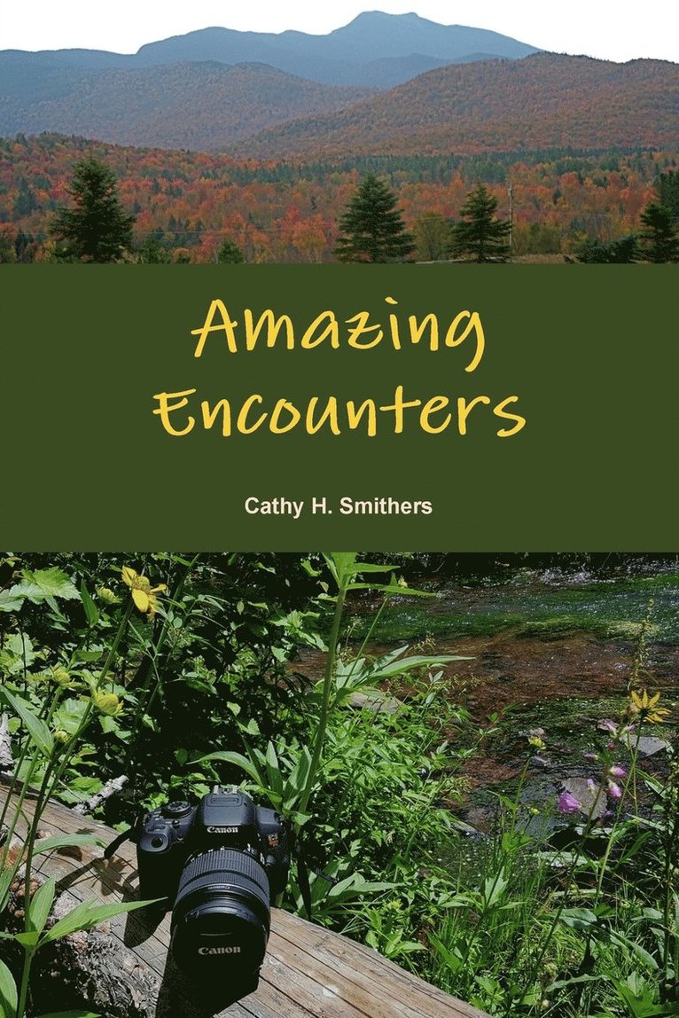 Amazing Encounters 1